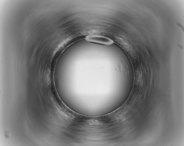 X0000093390392200710251246