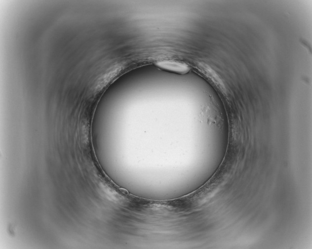 X0000093390393200710251245