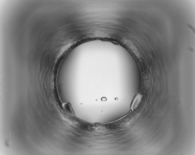 X0000093390395200710251245