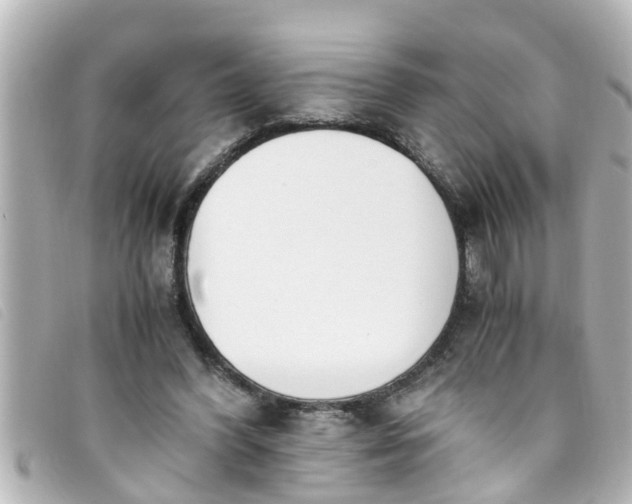 X0000093390396200710251245