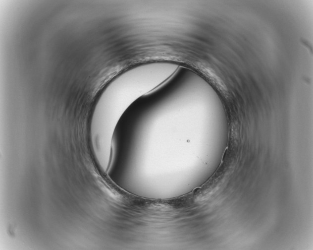 X0000093390397200710251245