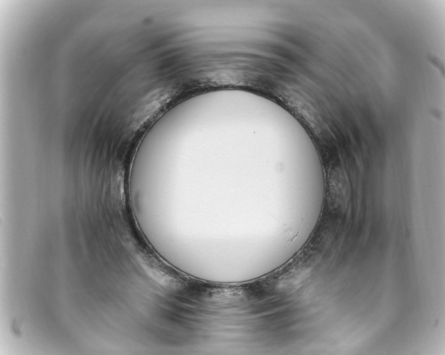 X0000093390398200710251245