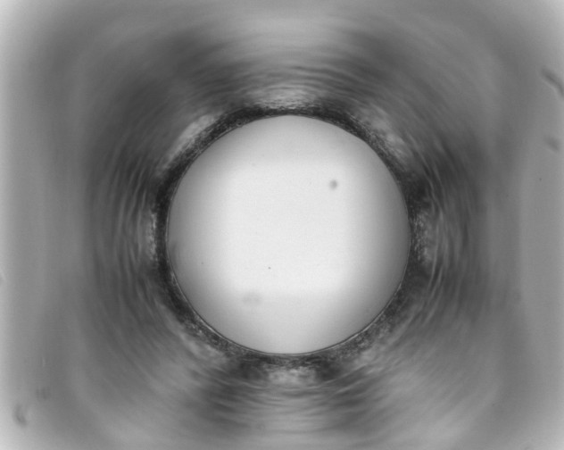 X0000093390400200710251245