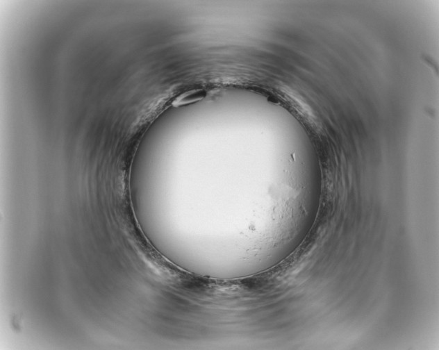 X0000093390401200710251245