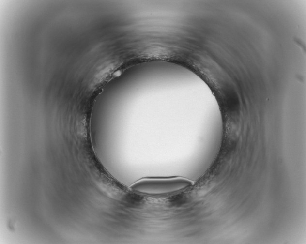 X0000093390403200710251245