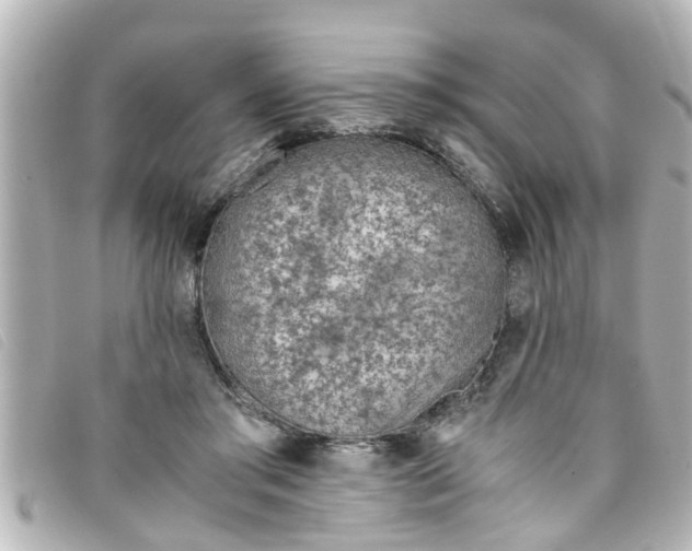 X0000093390405200710251245