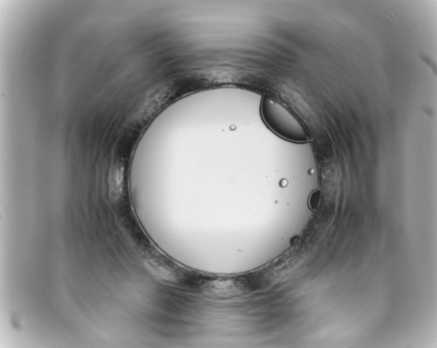 X0000093390406200710251245