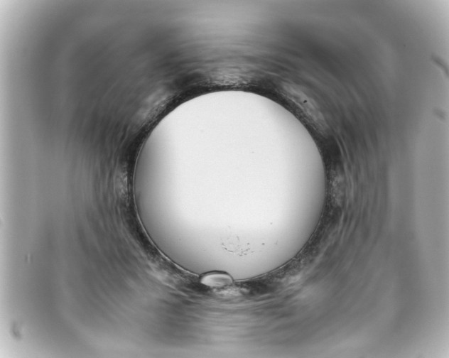 X0000093390407200710251245