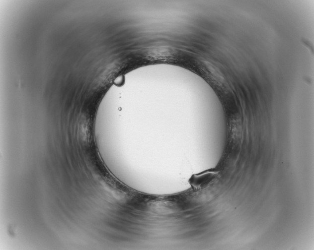 X0000093390408200710251245