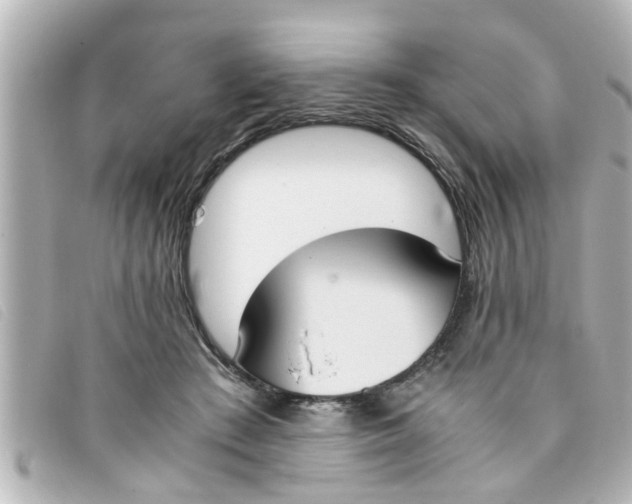 X0000093390409200710251245