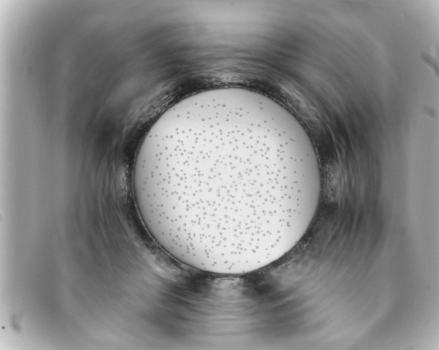 X0000093390410200710251245