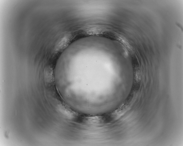 X0000093390411200710251245