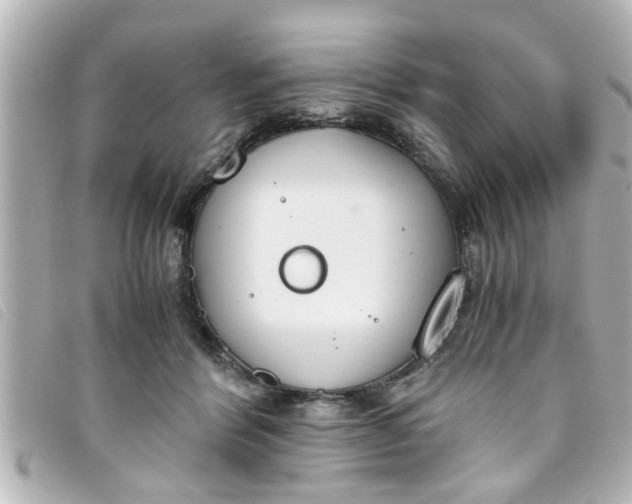 X0000093390412200710251245