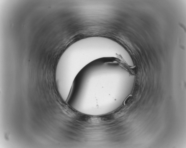 X0000093390413200710251245