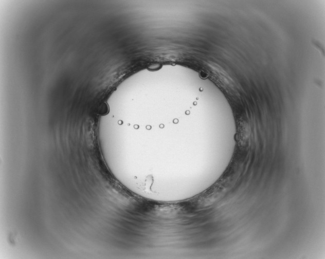 X0000093390414200710251245