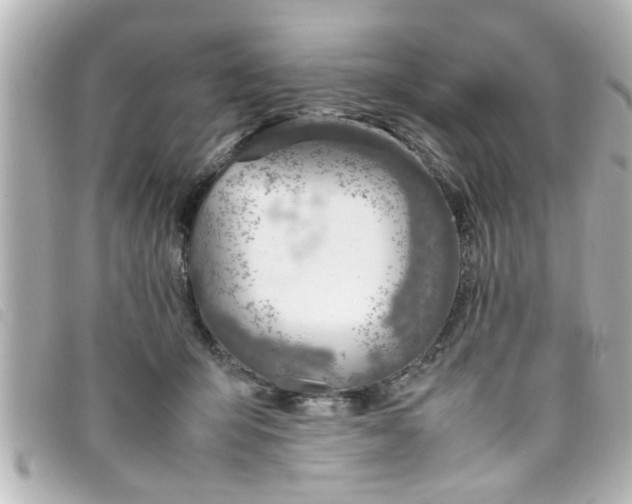 X0000093390415200710251245