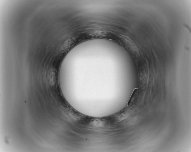 X0000093390416200710251245