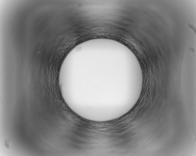 X0000093390417200710251245