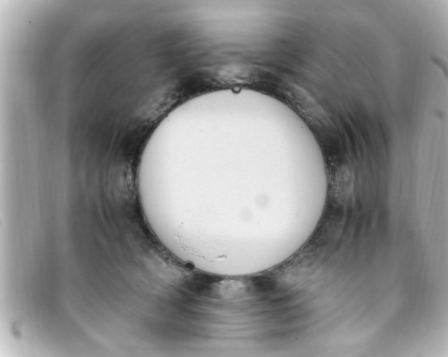 X0000093390418200710251245