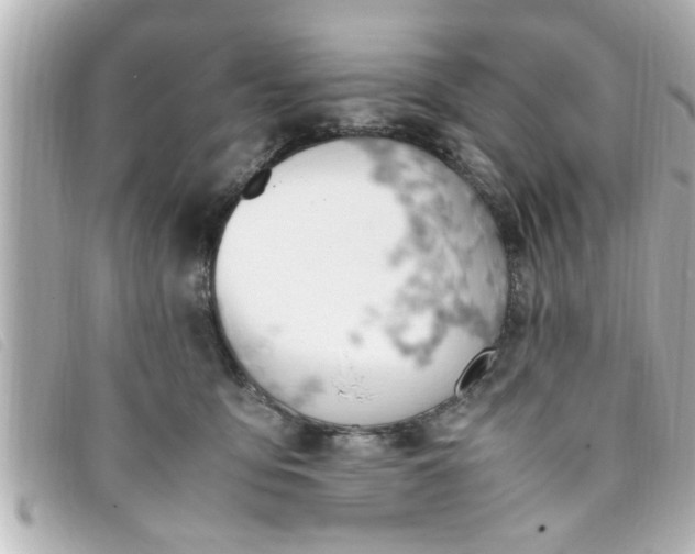 X0000093390419200710251245