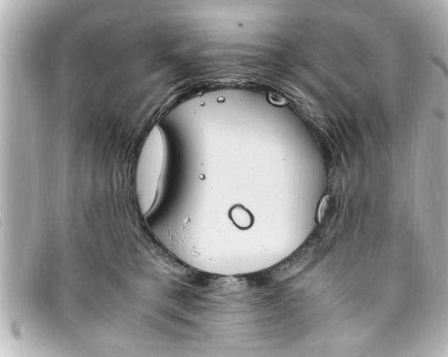 X0000093390421200710251245