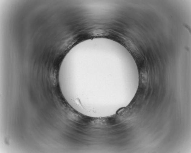 X0000093390422200710251245