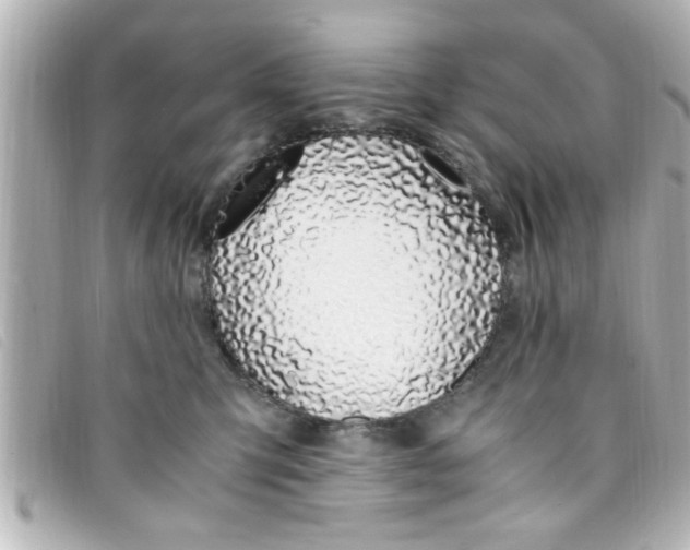 X0000093390423200710251245