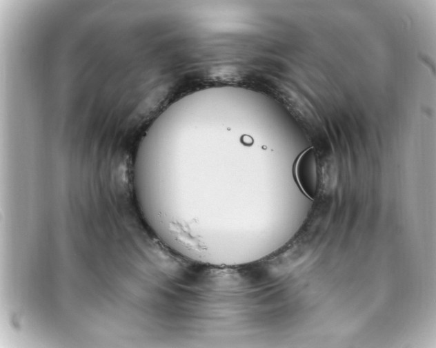 X0000093390424200710251245