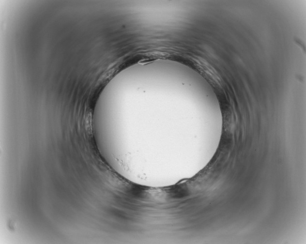 X0000093390425200710251245