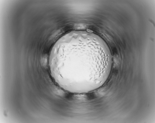 X0000093390427200710251245