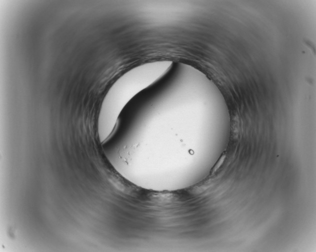 X0000093390428200710251245