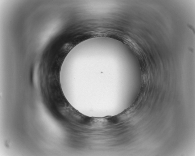 X0000093390429200710251245