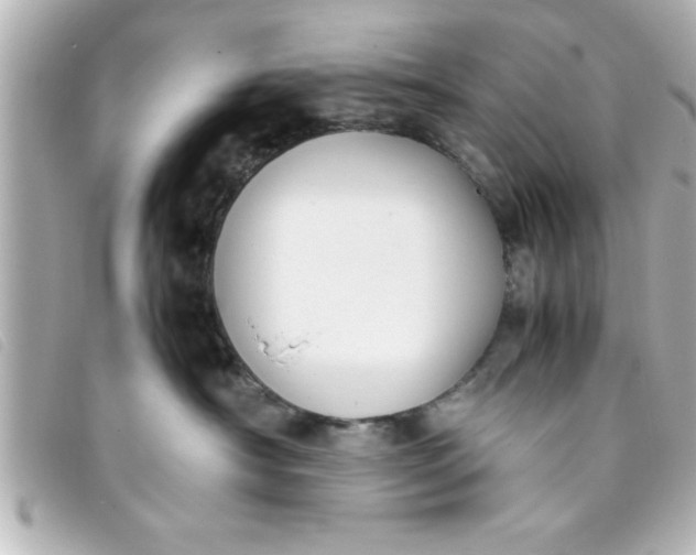 X0000093390430200710251245