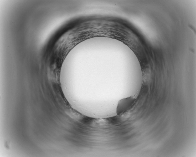 X0000093390431200710251245