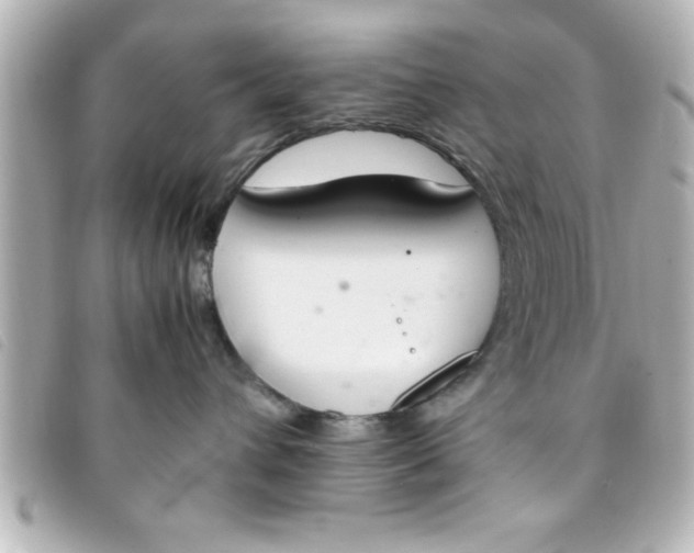 X0000093390432200710251245