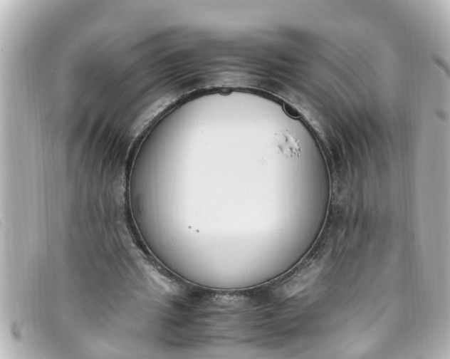 X0000093390437200710251244