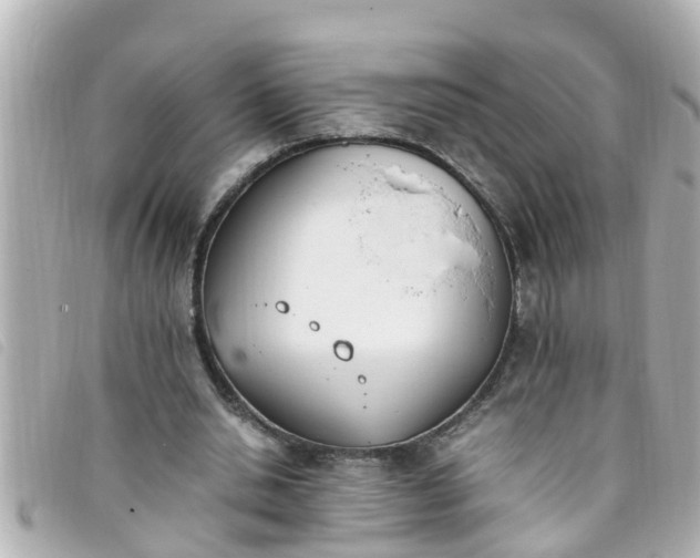 X0000093390438200710251244