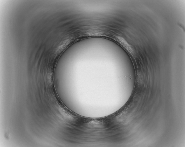 X0000093390441200710251244