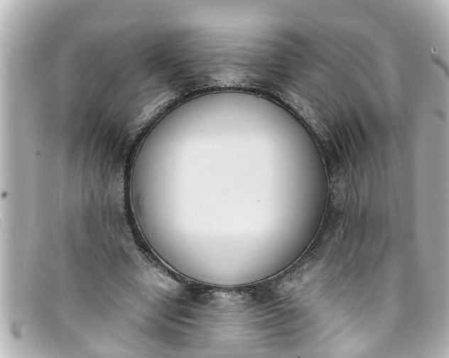 X0000093390442200710251244