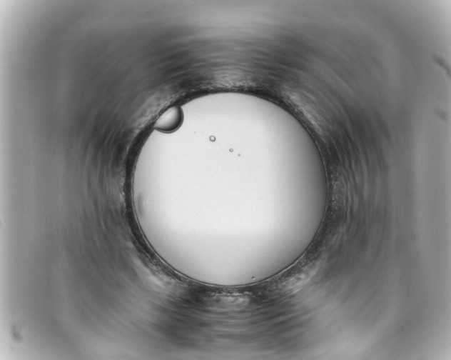 X0000093390443200710251244