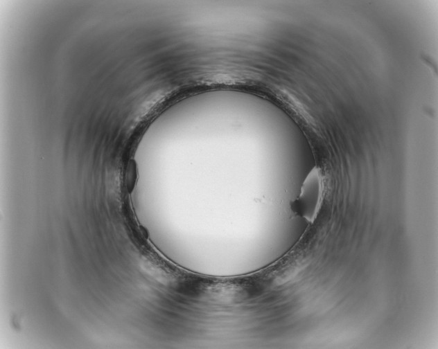 X0000093390444200710251244