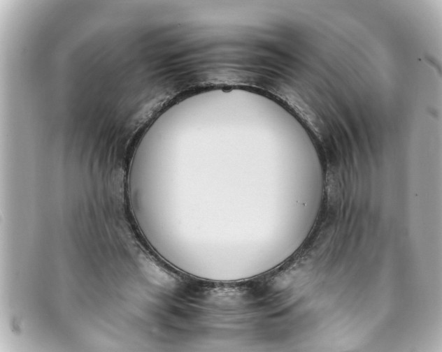 X0000093390445200710251244