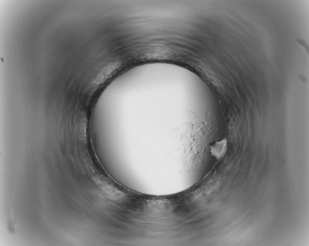 X0000093390446200710251244