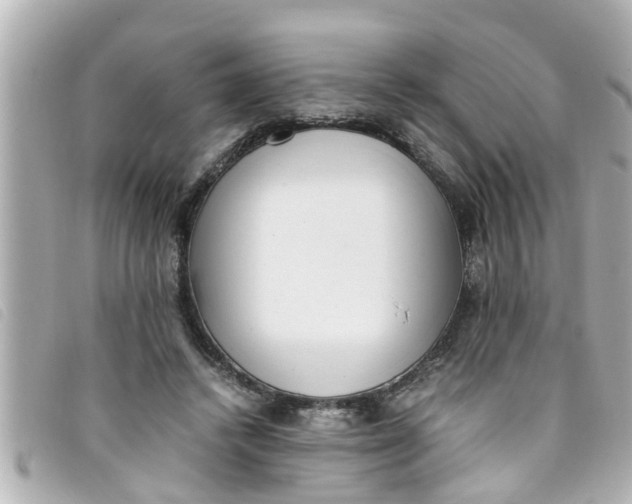 X0000093390448200710251244