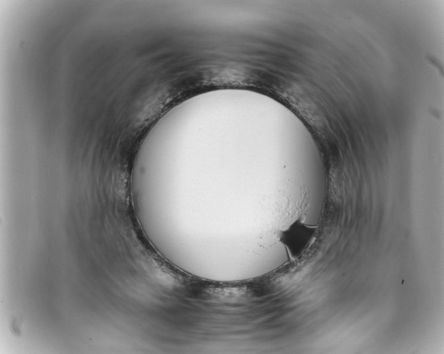 X0000093390449200710251244