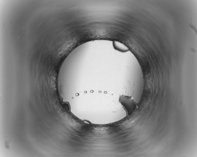 X0000093390450200710251245