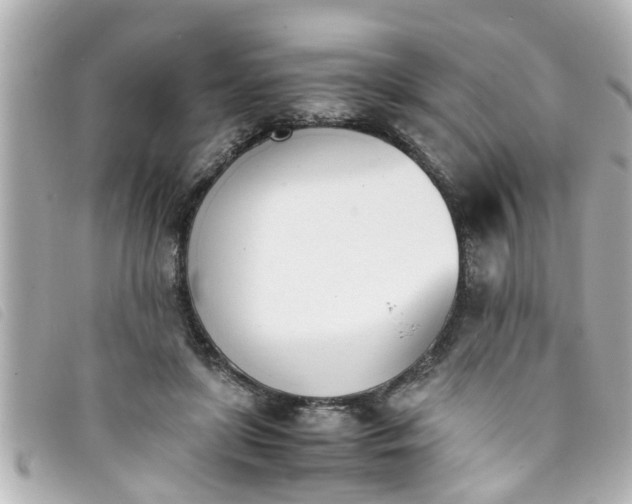 X0000093390451200710251245