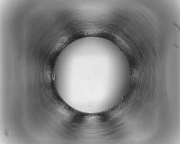 X0000093390452200710251245