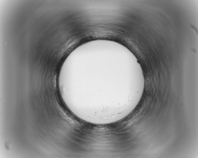 X0000093390454200710251245