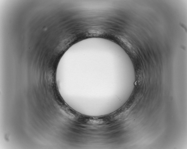 X0000093390455200710251245